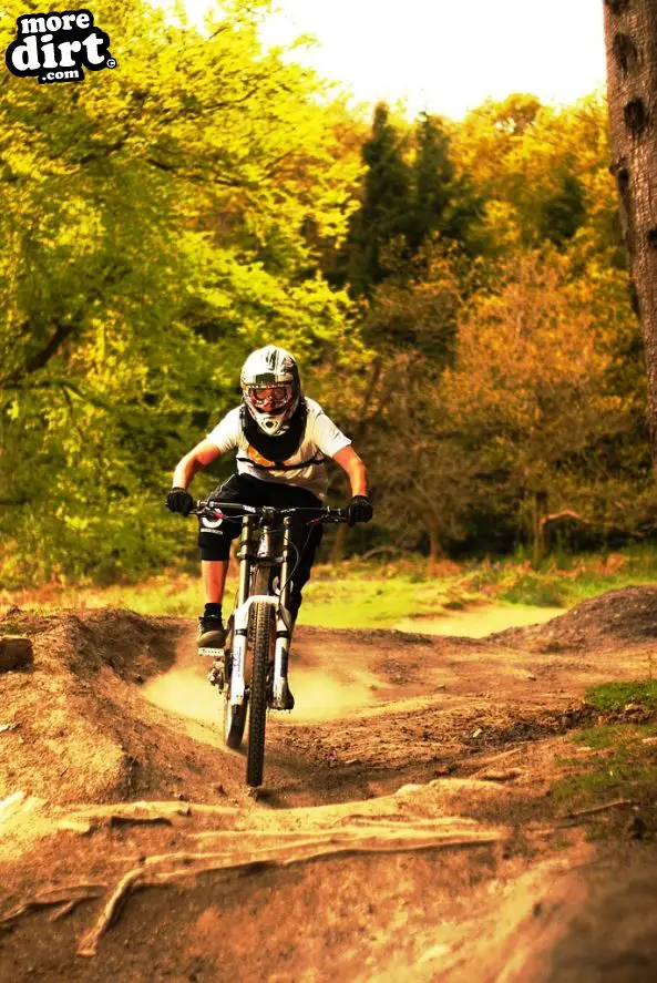 Downhill Trails - Forest of Dean