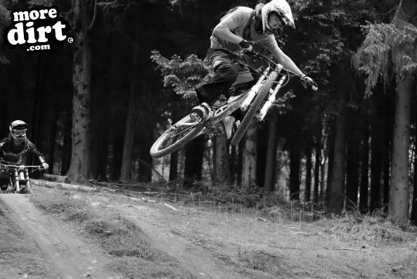 Downhill Trails - Forest of Dean