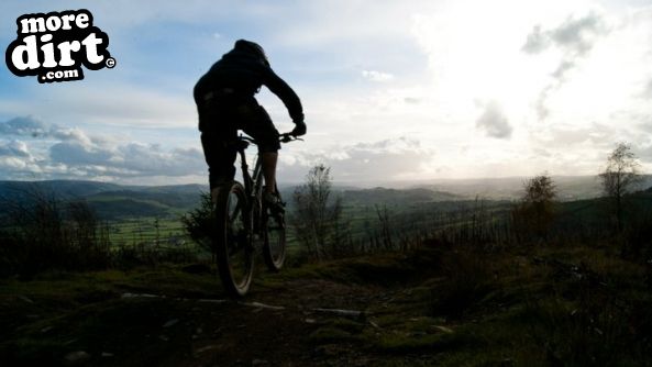 Caersws Bike Park