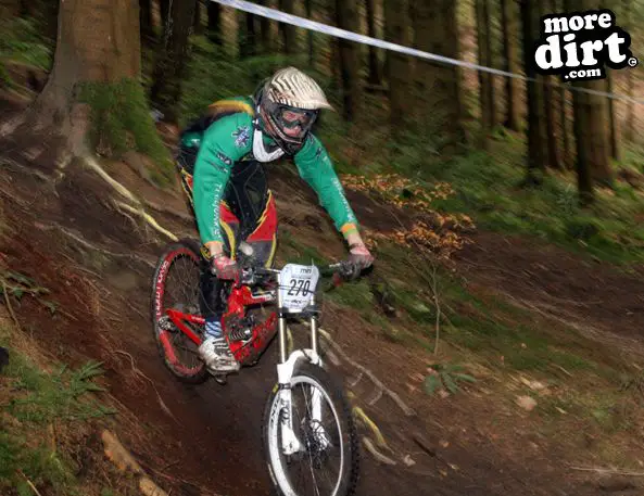 Downhill Trails - Forest of Dean