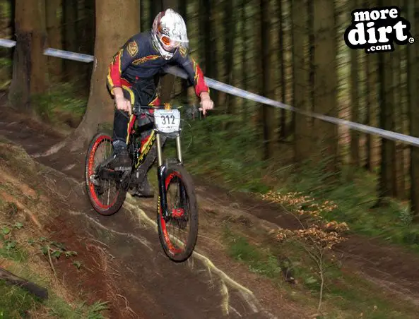 Downhill Trails - Forest of Dean