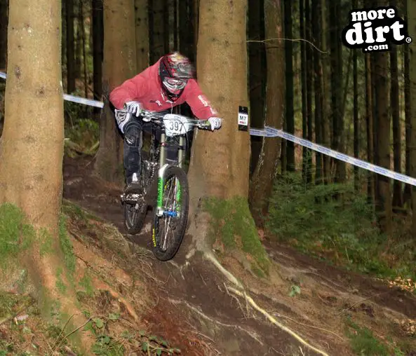 Downhill Trails - Forest of Dean