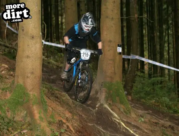 Downhill Trails - Forest of Dean