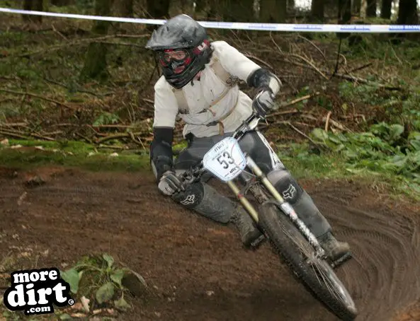 Downhill Trails - Forest of Dean