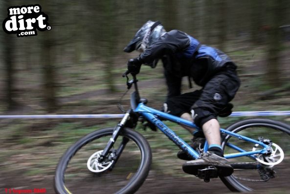 Downhill Trails - Forest of Dean