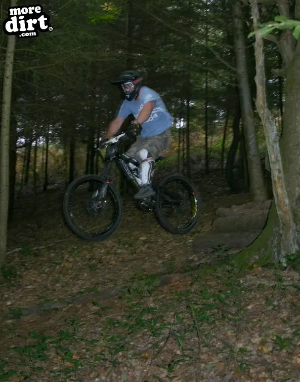 Yettington Freeride