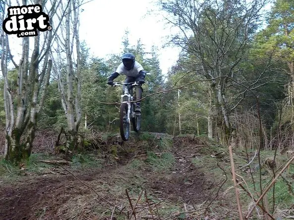 Setmurthy DH Trails