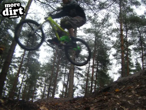 Swinley Forest Mountain Bike Centre