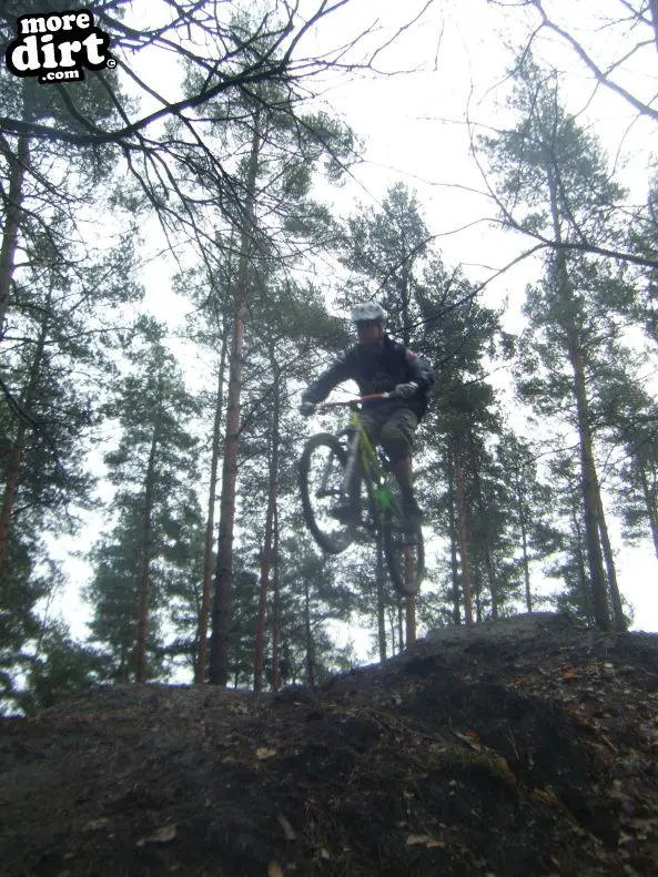 Swinley Forest Mountain Bike Centre