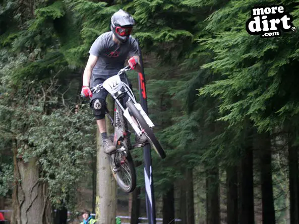 Downhill Trails - Forest of Dean