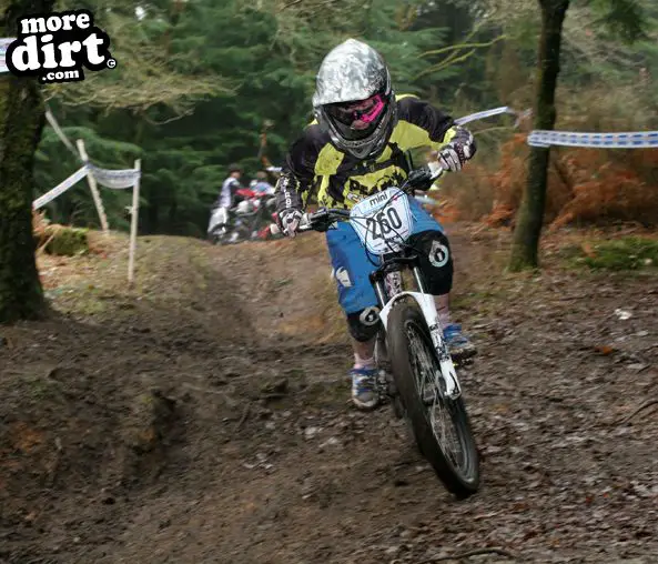 Downhill Trails - Forest of Dean