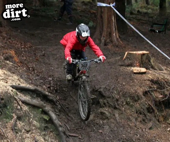 Downhill Trails - Forest of Dean