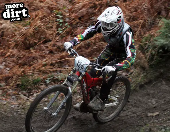 Downhill Trails - Forest of Dean