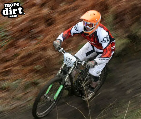 Downhill Trails - Forest of Dean