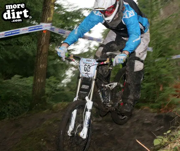 Downhill Trails - Forest of Dean