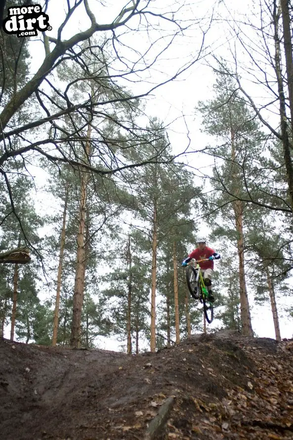 Swinley Forest Mountain Bike Centre