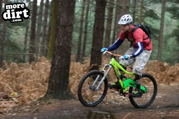 Swinley Forest Mountain Bike Centre