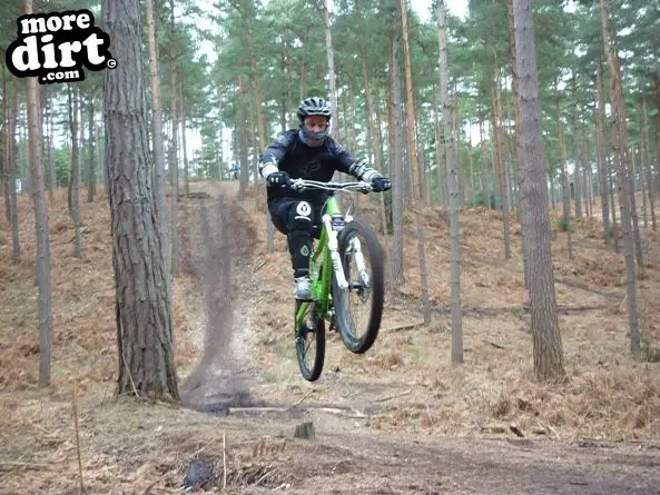 Swinley Forest Mountain Bike Centre