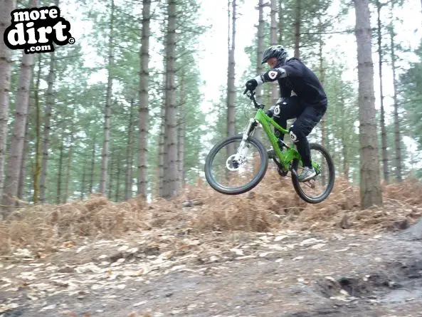 Swinley Forest Mountain Bike Centre