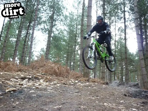 Swinley Forest Mountain Bike Centre