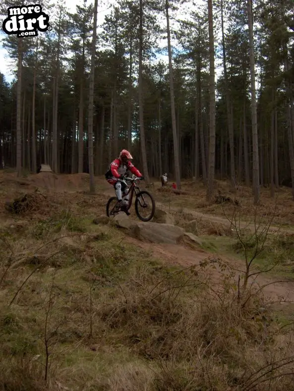 Sherwood Pines Bike Park