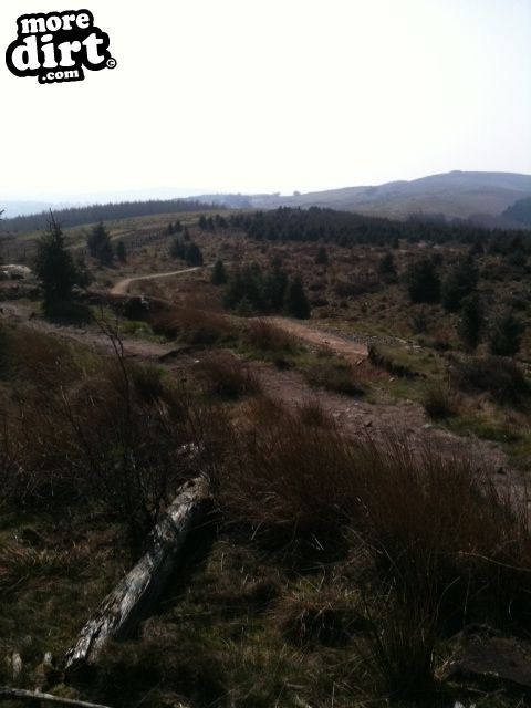 Freeride - Cwmcarn