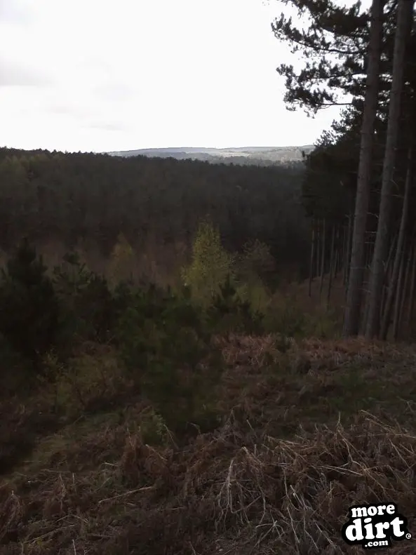 Monkey Trail - Cannock Chase