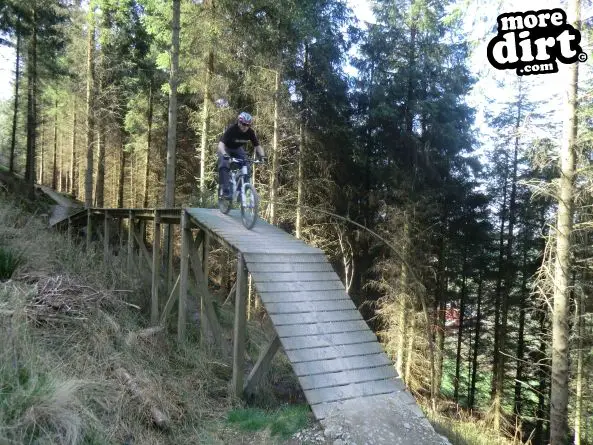 Black Trail - Coed Llandegla Forest