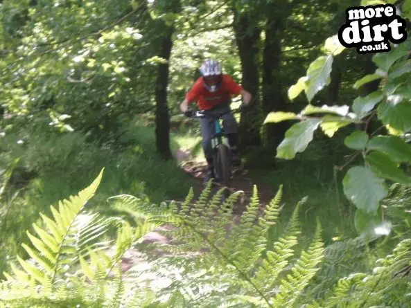 Okeford Hill Mountain Bike Park