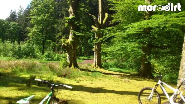 Drumlanrig Castle Mountain Bike Trails