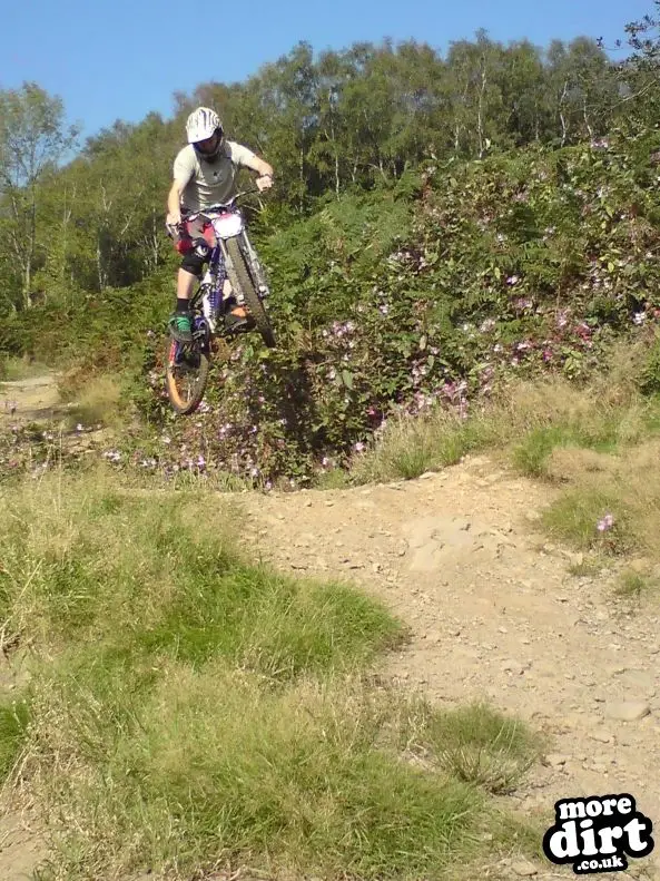 Mountain Ash DH Trail