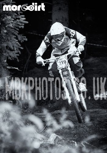 Mountain Ash DH Trail