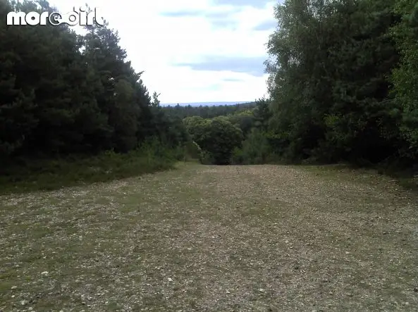 Swinley Forest Mountain Bike Centre