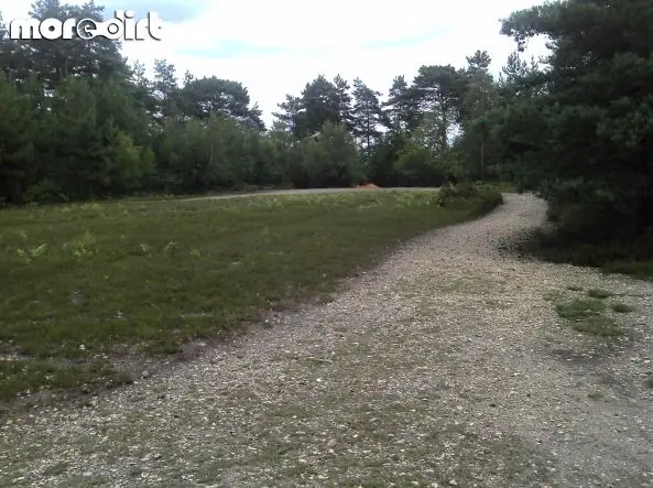 Swinley Forest Mountain Bike Centre