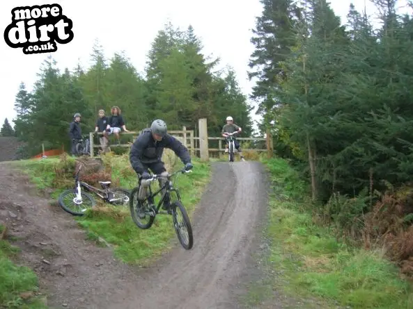 Freeride Park - Glentress