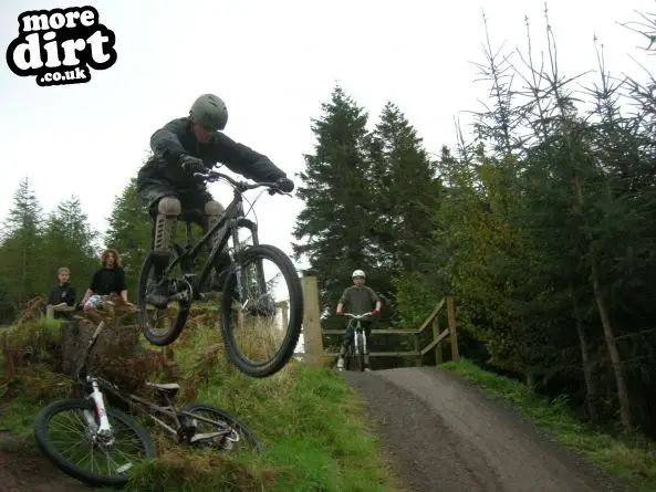 Freeride Park - Glentress