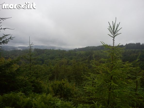 Gwydir Mawr Mountain Bike Trail