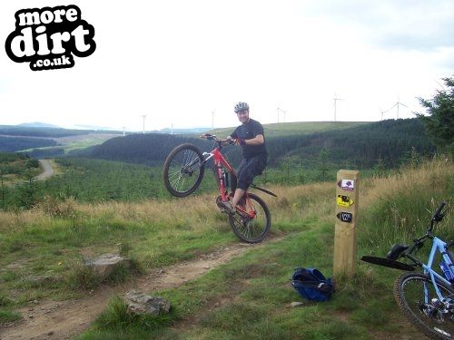 Whites Level Trail - Afan Forest