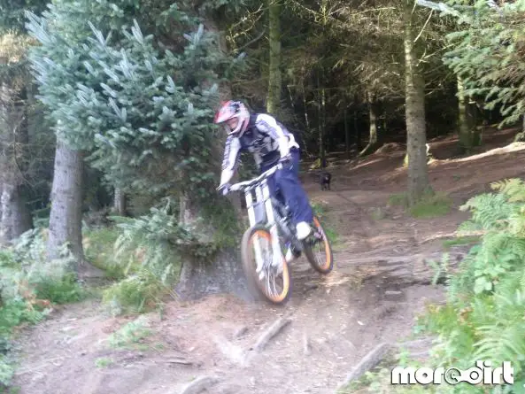 Mountain Ash DH Trail