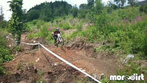 Mountain Ash DH Trail