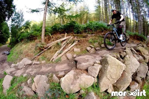 Monkey Trail - Cannock Chase