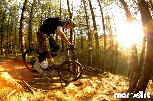 Monkey Trail - Cannock Chase