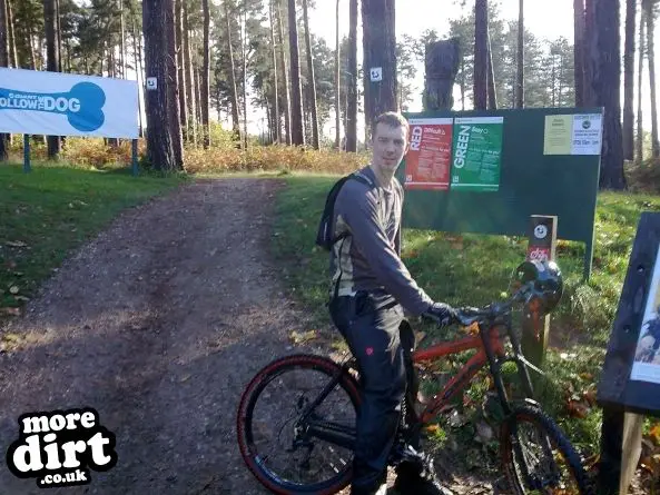 Follow the Dog Trail - Cannock Chase