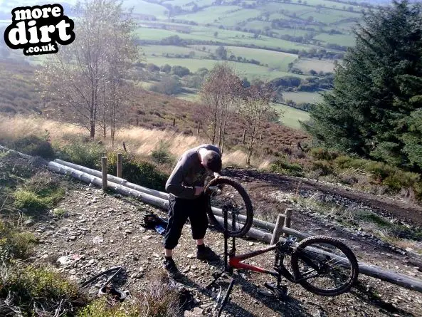 Black Trail - Coed Llandegla Forest