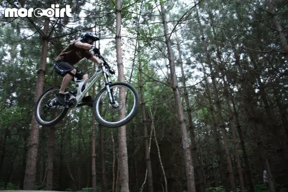 Swinley Forest Mountain Bike Centre