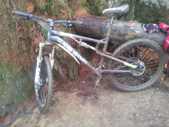 Mountain Bike