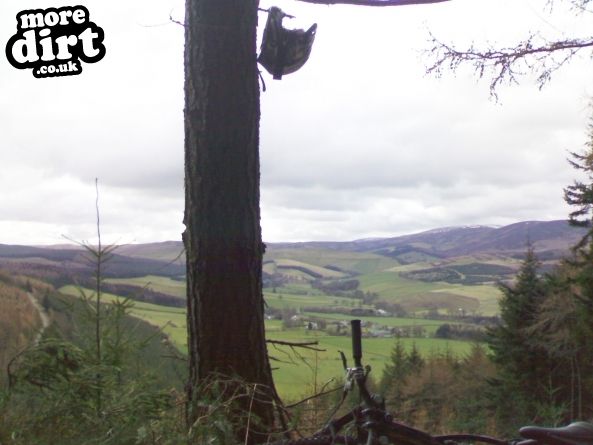 Innerleithen Mountain Bike Trails