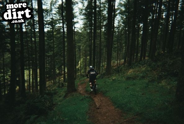 Ae Downhill Trail