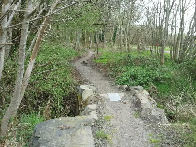 Craigavon Lakes Mountain Bike Trail