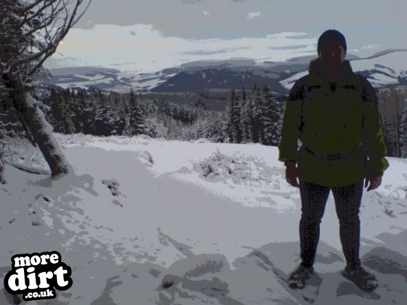 The Red Trail - Glentress